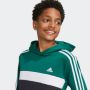 ADIDAS Duks sa kapuljačom j 3s tib fl hd BG - IY1786
