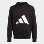 ADIDAS Duks sa kapuljačom hd  seasonal ess glam GG - JC7505