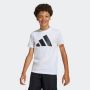 ADIDAS Majica kratak rukav j bl tee 161 BG - JC9659