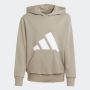 ADIDAS Duks sa kapuljačom essentials hoodie kids BP - JC9673