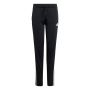 ADIDAS Trenerka j 3s tiberio ts BG - JY0509