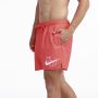 NIKE Šorc 5