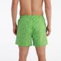 RANG Šorc paul swimming shorts M - S245M09-44
