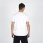 SERGIO TACCHINI Majica kratak rukav andy tee M - STA253M804-10