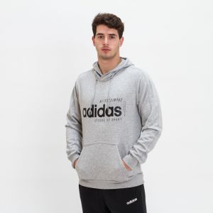 Lazy Owl Image